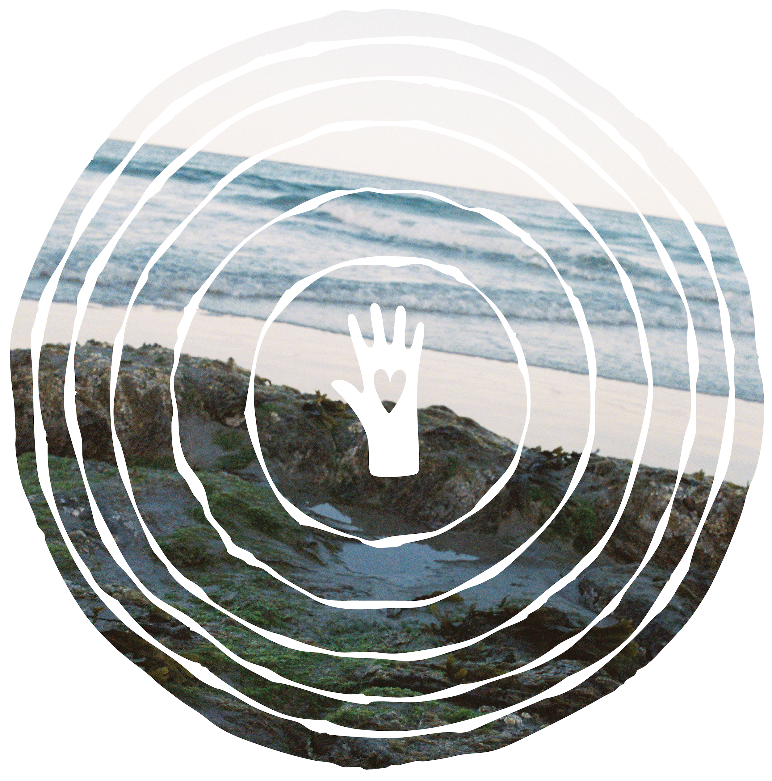 tidepool at the beach inside drawn concentric circles