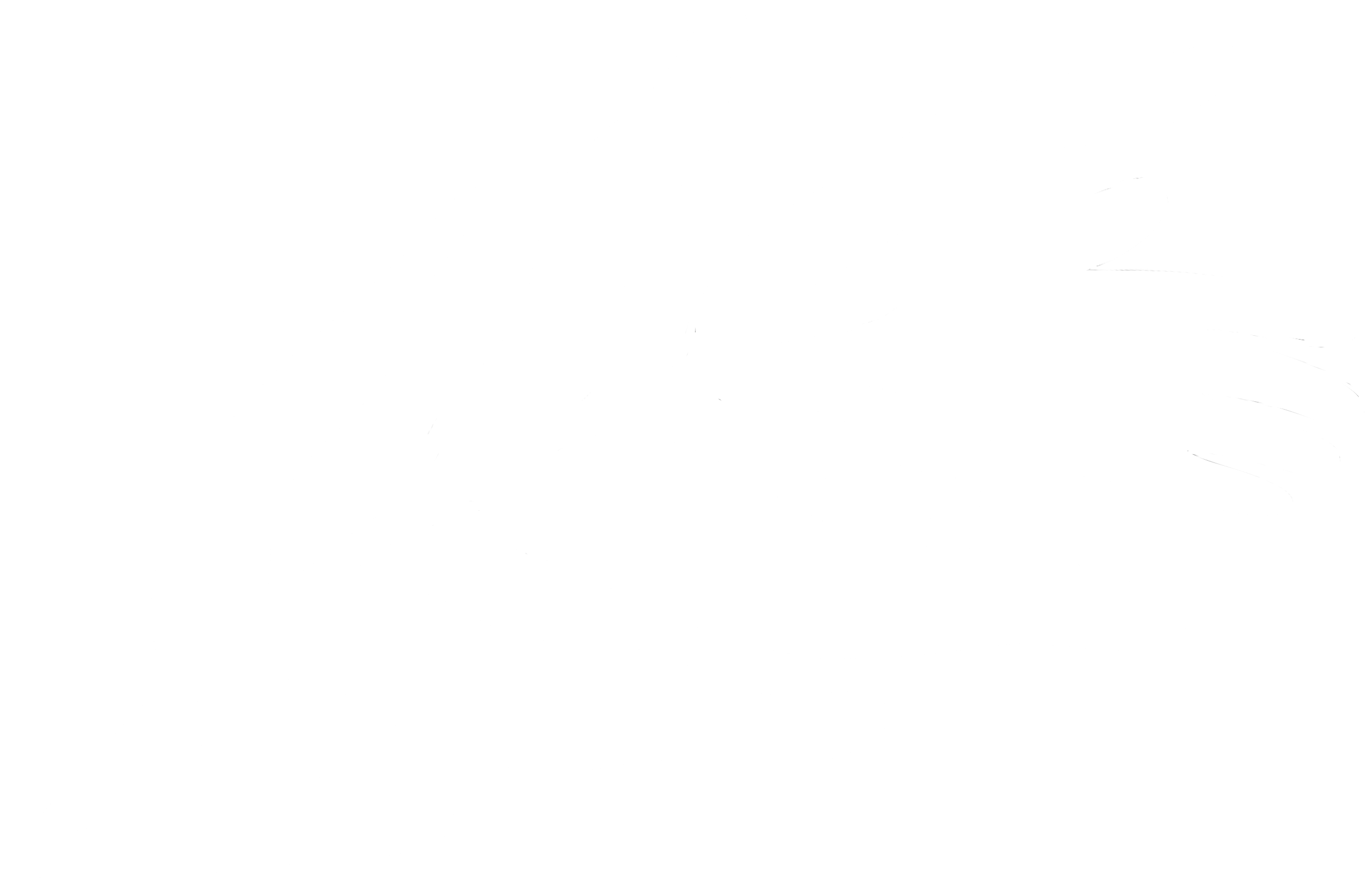 drawn white flower with a hand on top